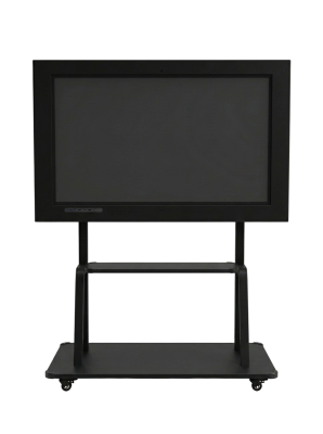 Интерактивная панель SMTouch55